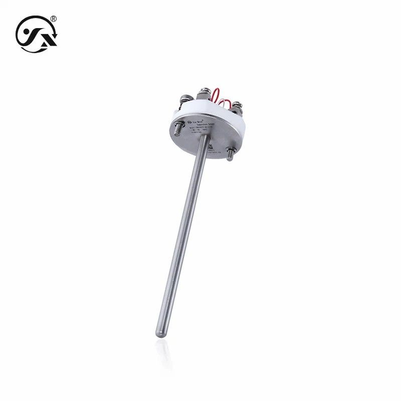 IP68 PT100 Temperature Indicator Transmitter CWDZ05TY Armored Temperature Sensor