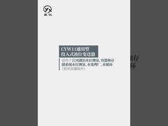 CYW11Y Universal Liquid Level Transmitter Level Range 0-0.5-50mH2O For Level Measurement